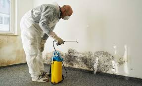 Best Mold Prevention Services  in Frazier Park, CA