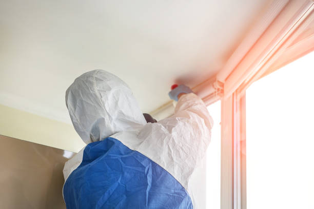 Why You Should Choose Our Mold Remediation Services in Frazier Park, CA