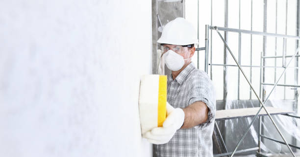 Best Mold Damage Restoration  in Frazier Park, CA